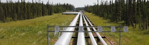 Pipeline Vegetation Right of Way